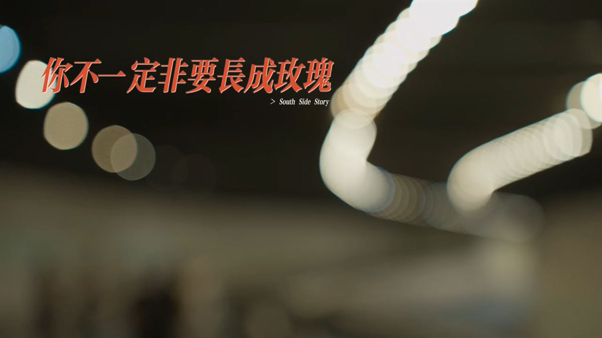 摄影新媒体课程作品你不一定非要長成玫瑰